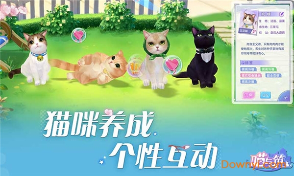 喵与筑无限星星版 游戏截图